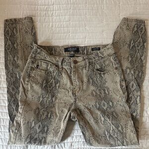 Judy Blue Gray Snake Print Jeans